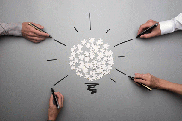 19 نکته روش ساده تربیت سگ شیتزو تریر برای دستشویی کردن در خانه