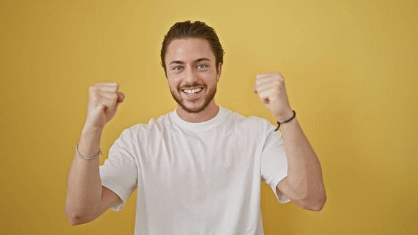 گربه هیمالین: زیبایی شرقی با رفتاری آرام